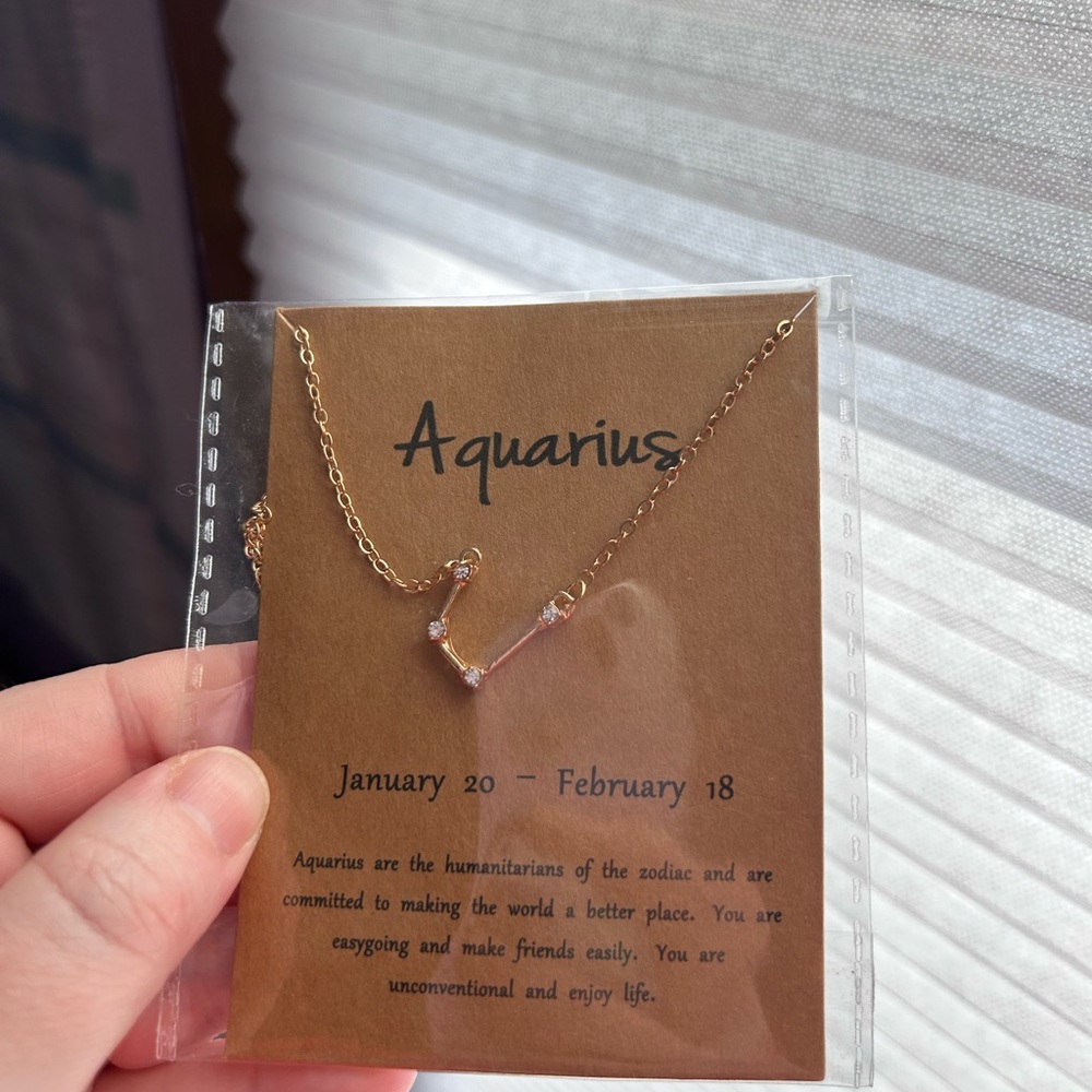 Aquarius Zodiac Necklace